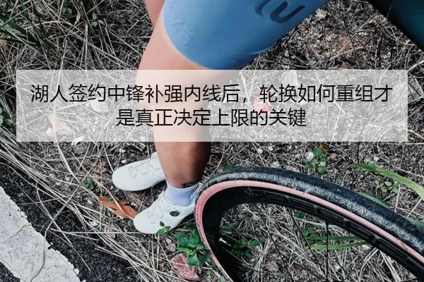 湖人签约中锋补强内线后，轮换如何重组才是真正决定上限的关键 - qixingcai